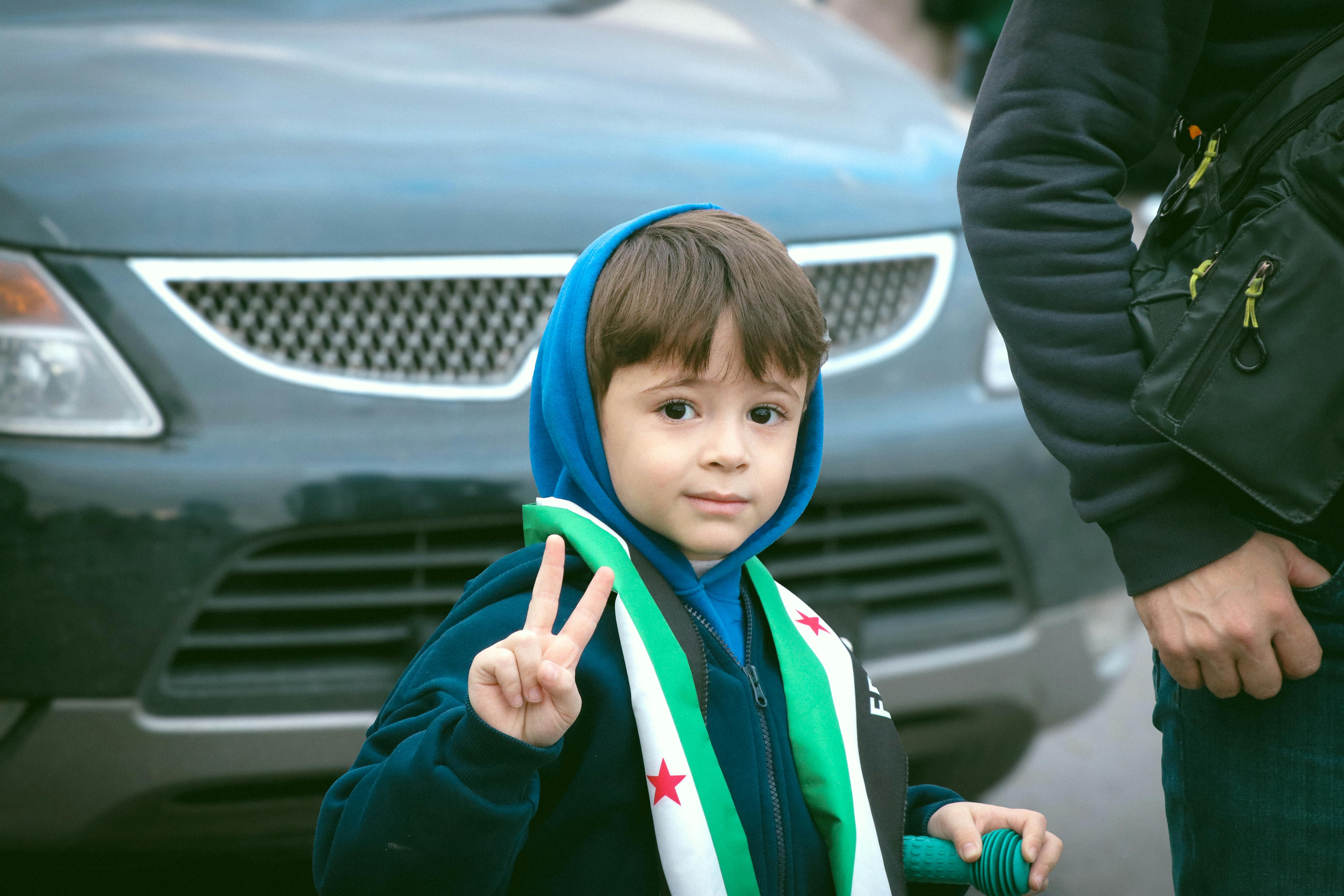 Миротворческий проект